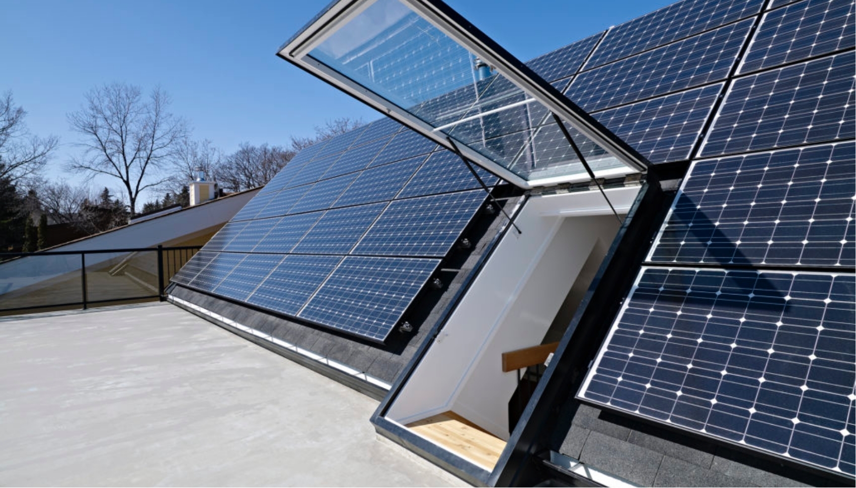 Belgravia Green solar panels on roof of custom net zero home by Effect Home Builders