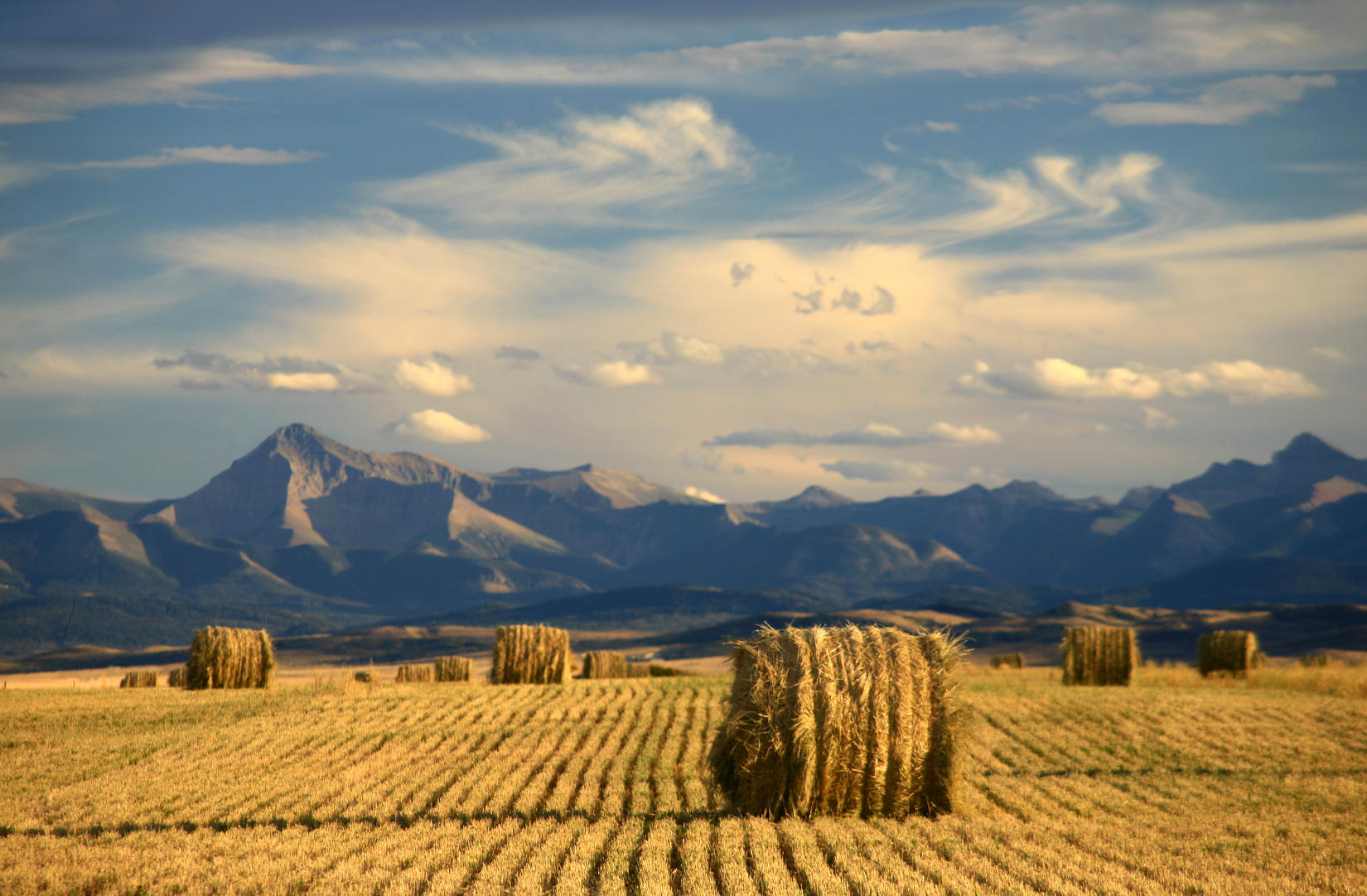 Alberta Rural Landscape